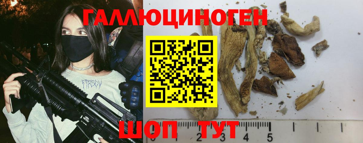 Псилоцибиновые грибы прущие грибы  Вход с VPN  Малоярославец  Псилоцибиновые грибы Psilocybine cubensis 
